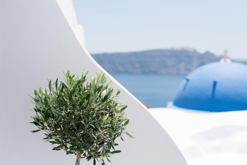 Evmenia Luxury Cave Villa Oia  Esterno foto